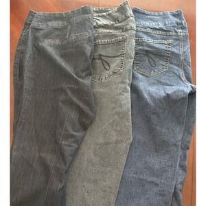3 Pairs of Jag Jeans Curvy Fit Pull on 24W